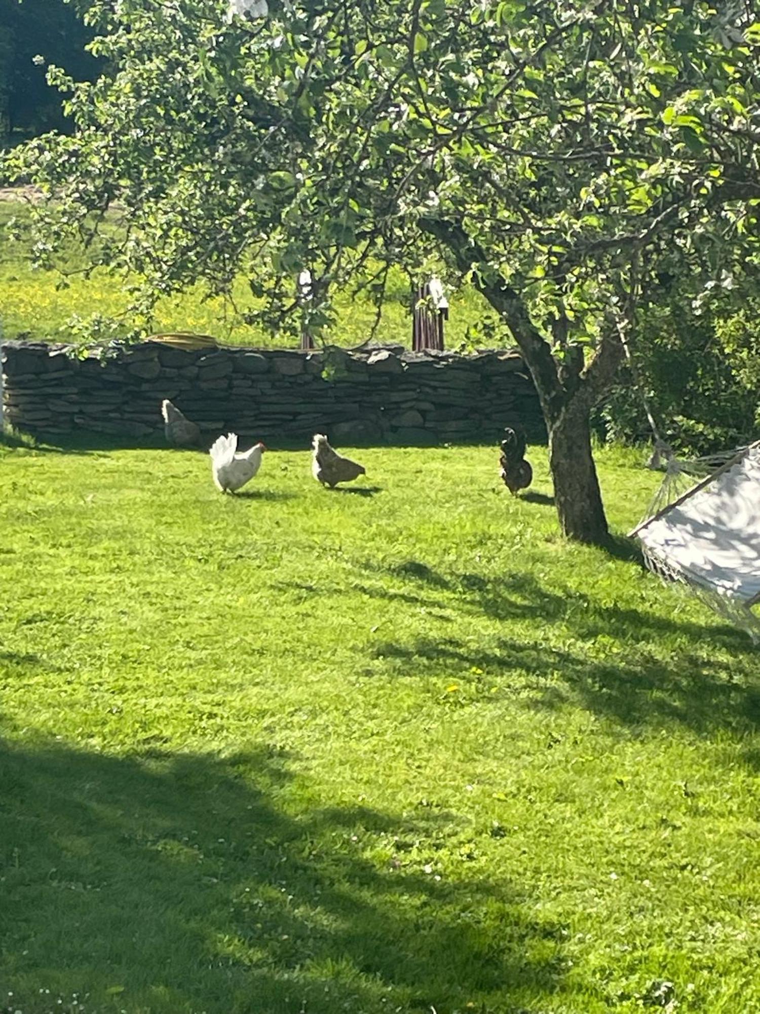 Jonstorps Brygghus Villa Falköping Esterno foto